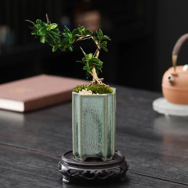 Фарфоровый квадратный горшок д – обзор и цена Bonsai Garden Art